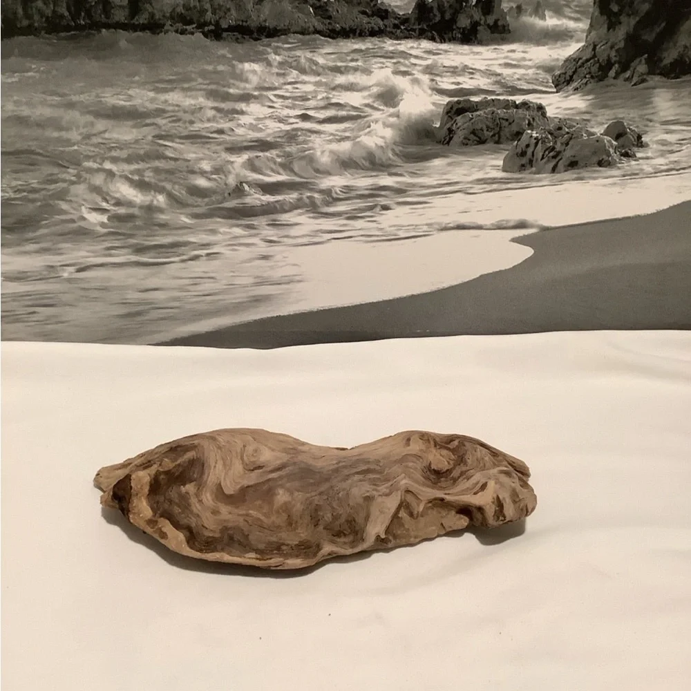 Driftwood , Driftwood Piece For Crafting ,Reptile Habitats